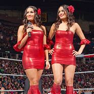 Image result for Bella Twins Outfits