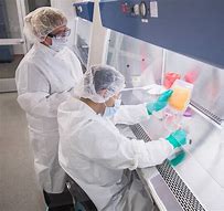 Image result for Stem Cell Manufacturing