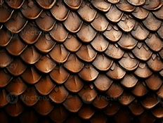 Image result for Dragon Scales Texture Drawing