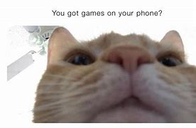 Image result for Any Games On Your Phone Cat Meme