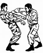 Image result for Systema Martial Arts