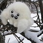 Image result for Spider Stuffed Animal