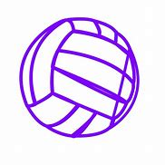 Image result for Blue Volleyball