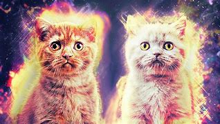 Image result for Cute Cosmic Cat