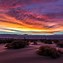 Image result for Pretty Sunset Landscape