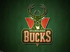 Image result for Giannis Antetokounmpo Bucks