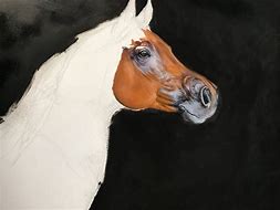 Image result for Arab Horse Oil Painting