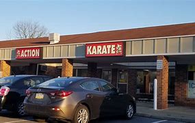 Image result for Action Karate Whitehall PA