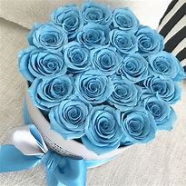 Image result for Baby Blue Roses