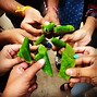 Image result for Paan Pakistan