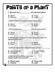 Image result for Science Worksheets