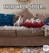 Image result for Animal Joke Pictures