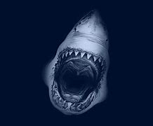 Image result for Jaws Wallpaper 4K
