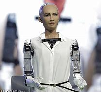 Image result for Human-Robot Sophia
