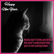 Image result for Happy and Safe New Year Meme