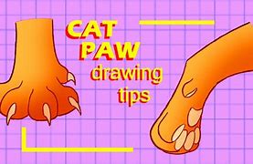 Image result for Cat Claws Scratching