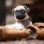 Image result for Cute Smiling Puppy Wallpaper
