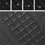 Image result for iPhone Pixel Array Microscope