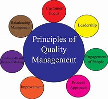 Image result for Quality Principles Meaning