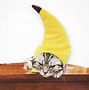 Image result for Cat Banana Hat