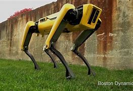 Image result for Show-Me Pictures of Robot Dogs