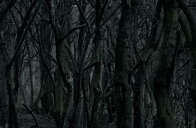 Image result for Dark Gothic Forest