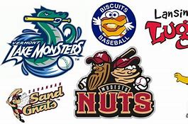Image result for All Minor League Baseball Team Logos
