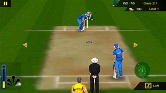 Image result for Cricket Hit