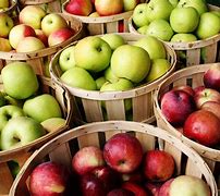 Image result for All Apple Colors