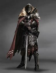 Image result for Hooded Knight