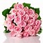 Image result for Dark Pink Roses White Background