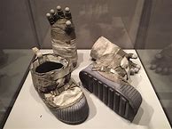 Image result for Neos Boots Over Boots