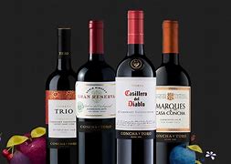 Image result for Concha y Toro Red Reserva