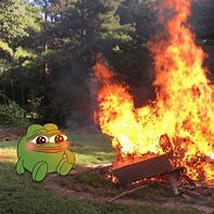 Image result for Comfy Pepe