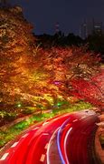 Image result for Street at Night Japan Usiki