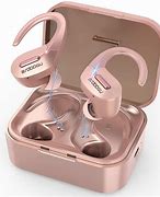 Image result for Best Wireless Earbuds with Ear Hooks