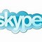 Image result for Semnificatie Icon Skype