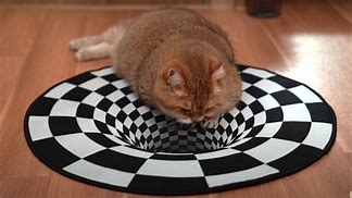 Image result for Tripping Cat Optical Illusion