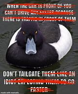 Image result for Stay Safe Out There Meme