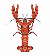 Image result for Vector Lobster Claw