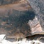 Image result for Painted Desert Petrified Forest