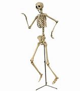 Image result for Poseable Skeleton