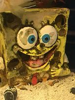 Image result for Spongebob Crack Memes