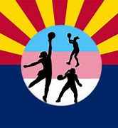 Image result for Arizona Law Flag