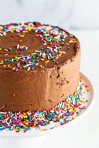 Image result for A Chocolate Cake with Rainbow Sprinkles