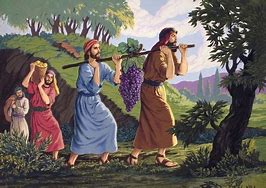 Image result for 12 Spies Biblical