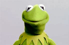 Image result for Kermit Face