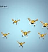 Image result for Collective Noun Bees