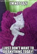 Image result for Poop Funny Cat Memes