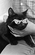 Image result for Black Cat Eye Glasses